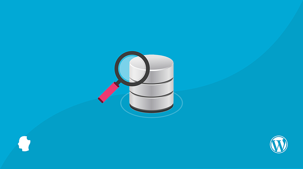 How to Optimize Your WordPress Database